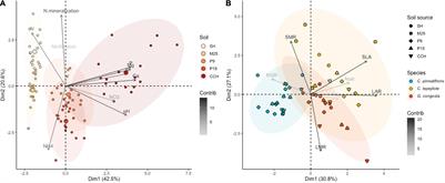 Palm Species Traits Determine Soil Nutrient Effects on Seedling Performance